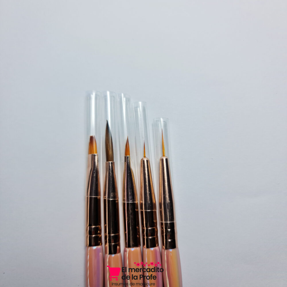 pinceles Set de 5 pcs